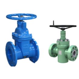 Gate Valves Manufacturer in India